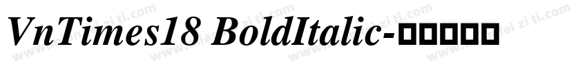 VnTimes18 BoldItalic字体转换